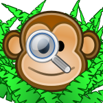 Searchmonkey Yahoo