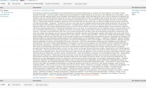 seo spamkommentar