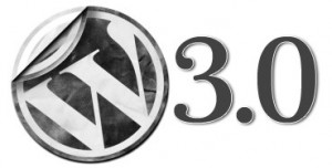 wordpress 3.0 logo