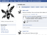 wordpress themes im Facebook Look